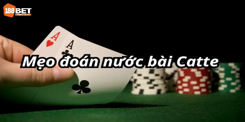 Đừng quên tính toán bài tồn khi chơi Catte