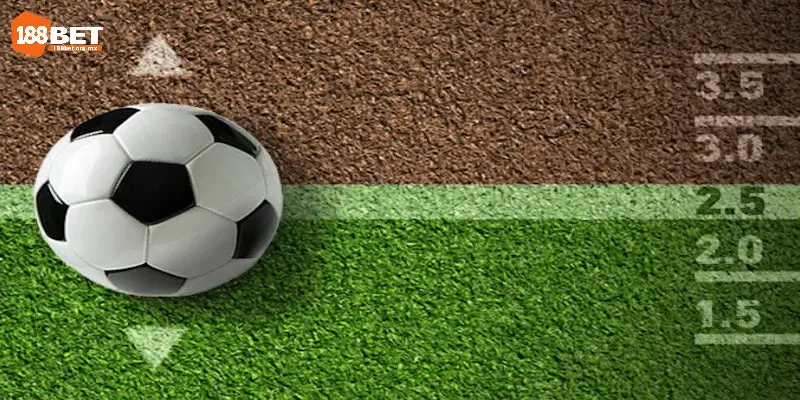 Chi tiết cách đọc tài xỉu bóng đá cho người mới